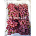 Yunnan Grapes pris downing